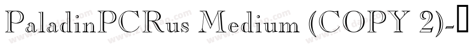 PaladinPCRus Medium (COPY 2)字体转换